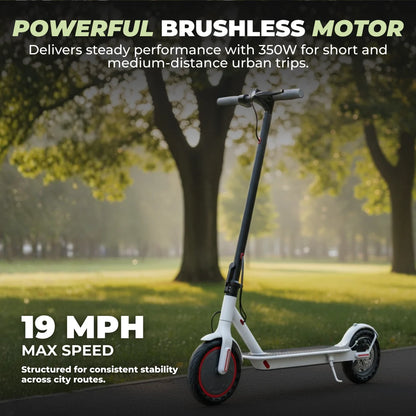 Foldable Electric Scooter with 350W Motor and 8.5 Inch Solid Tires